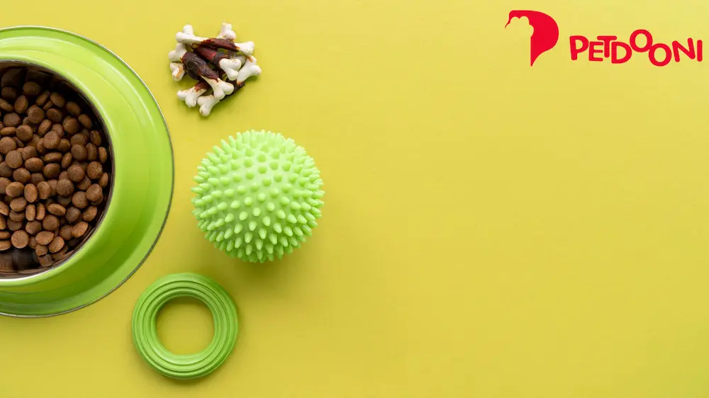 راهنمای جامع انتخاب اسباب بازی گربه | از توله تا گربه سالخورده | پت شاپ آنلاین پت دونی 1404